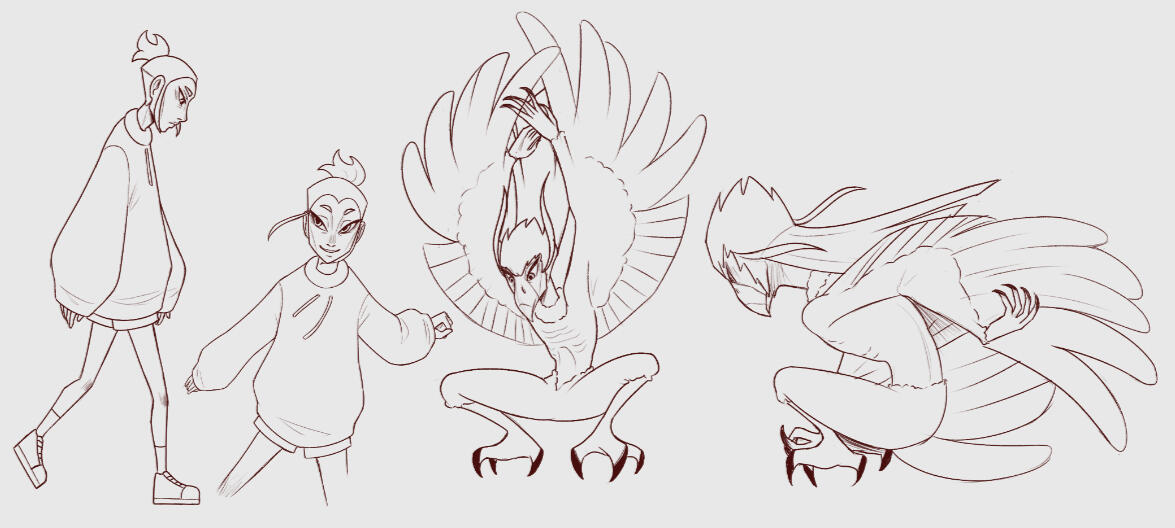 Tata/Carcará Estudos Poses